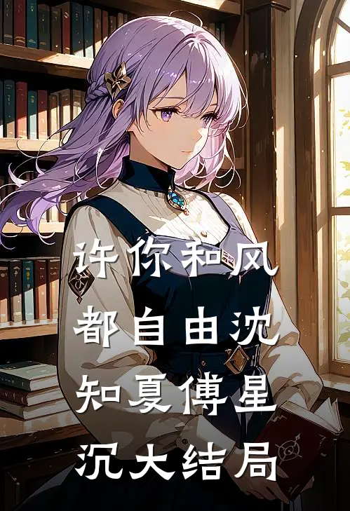 许你和风都自由沈知夏傅星沉大结局
