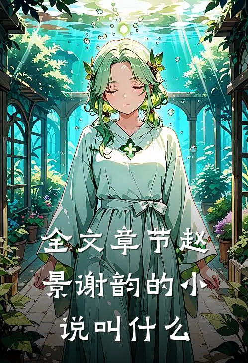 全文章节赵景谢韵的小说叫什么