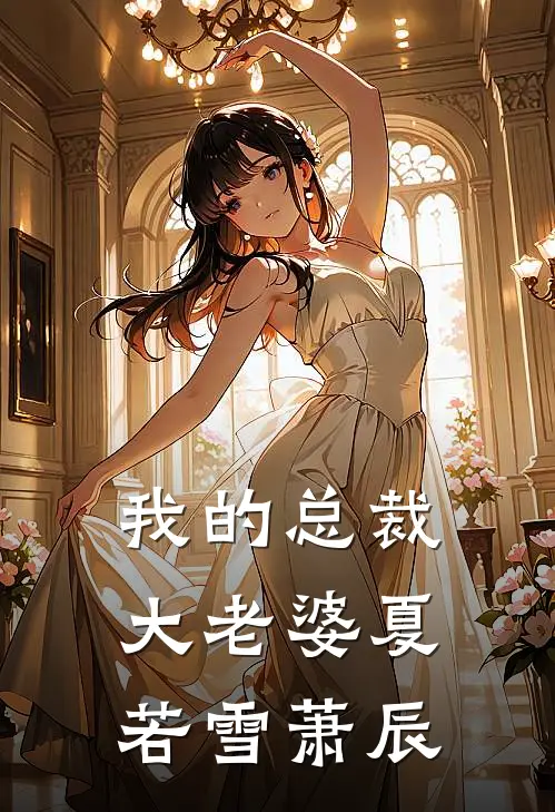 我的总裁大老婆夏若雪萧辰
