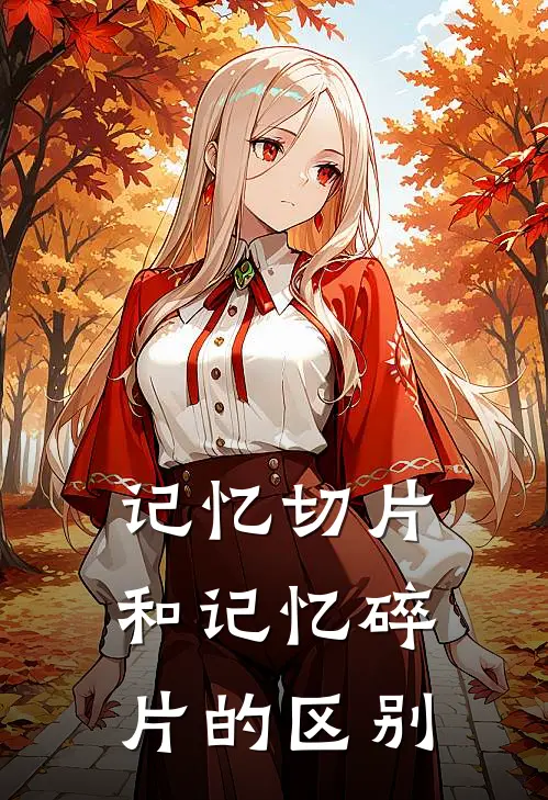 记忆切片和记忆碎片的区别