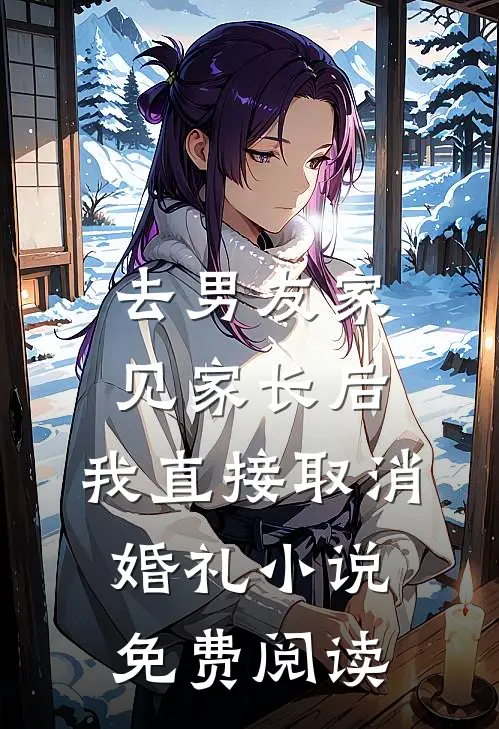 去男友家见家长后，我直接取消婚礼小说免费阅读
