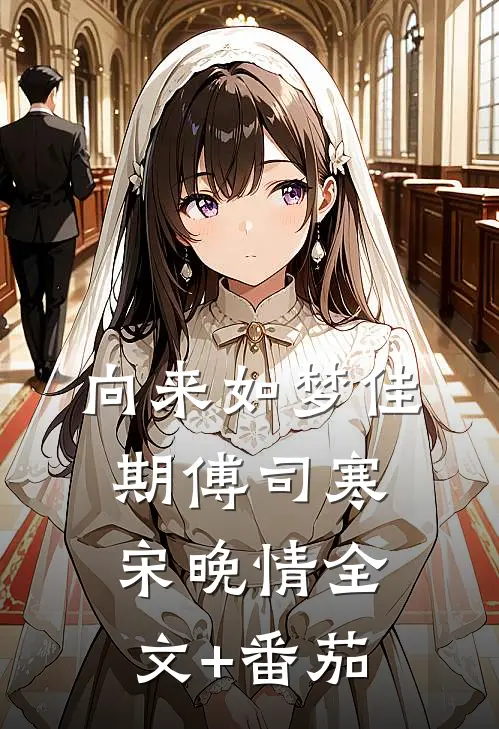 向来如梦佳期傅司寒宋晚情全文+番茄