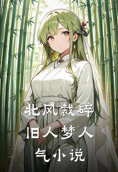 北风裁碎旧人梦人气小说