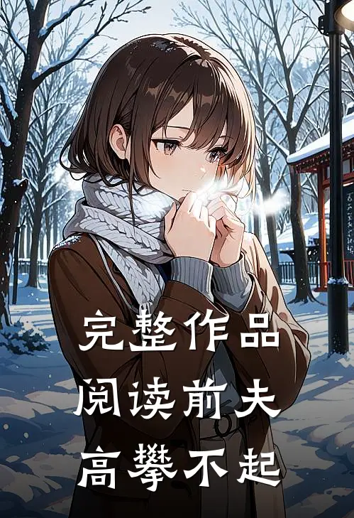 完整作品阅读前夫 ，高攀不起