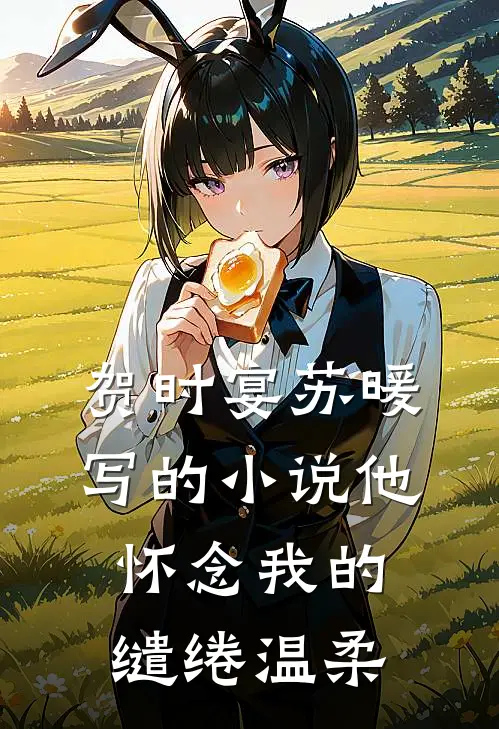 贺时宴苏暖写的小说他怀念我的缱绻温柔