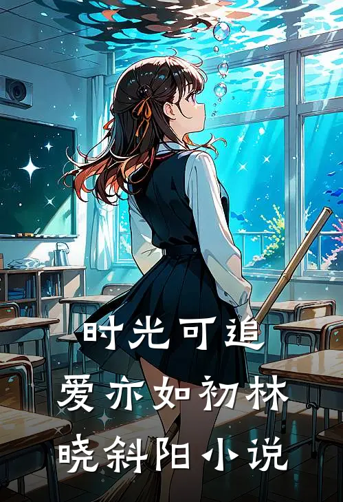 时光可追，爱亦如初林晓斜阳小说