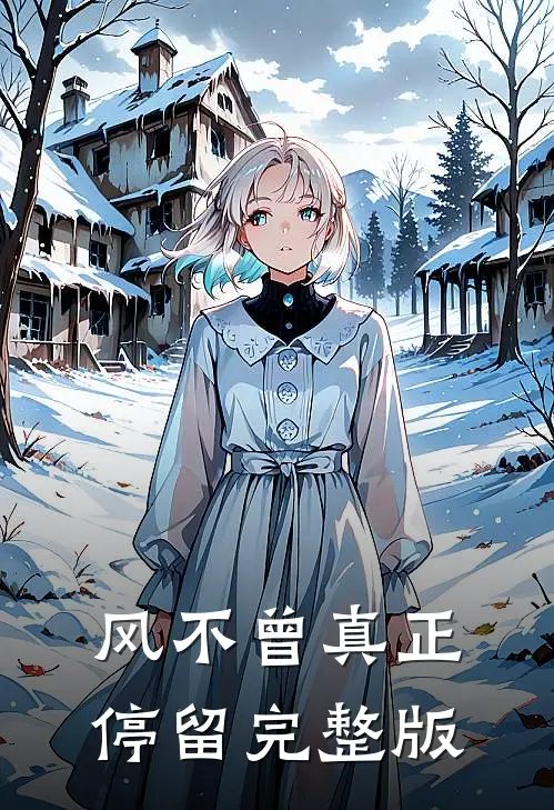 风不曾真正停留完整版