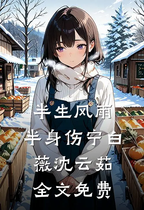 半生风雨，半身伤宁白薇沈云茹全文免费