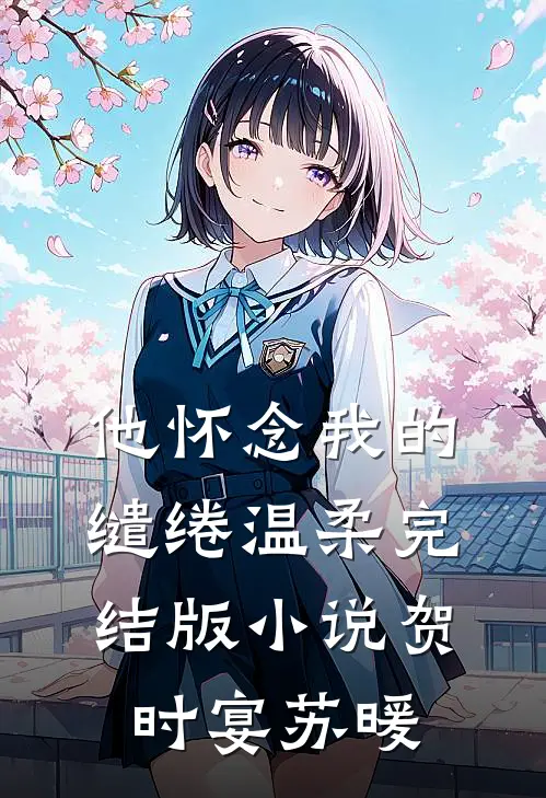 他怀念我的缱绻温柔完结版小说贺时宴苏暖