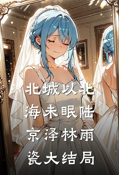 北城以北海未眠陆京泽林雨瓷大结局
