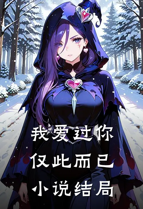 我爱过你，仅此而已小说结局