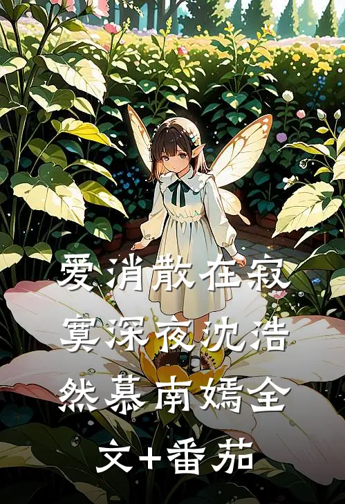 爱消散在寂寞深夜沈浩然慕南嫣全文+番茄