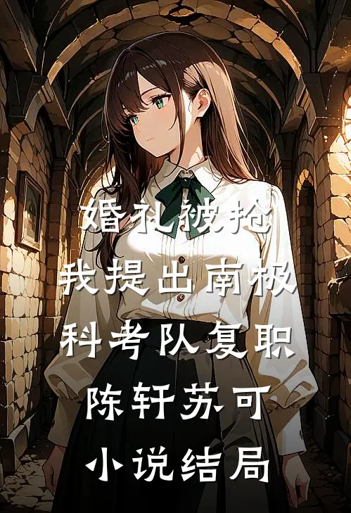 婚礼被抢，我提出南极科考队复职陈轩苏可小说结局