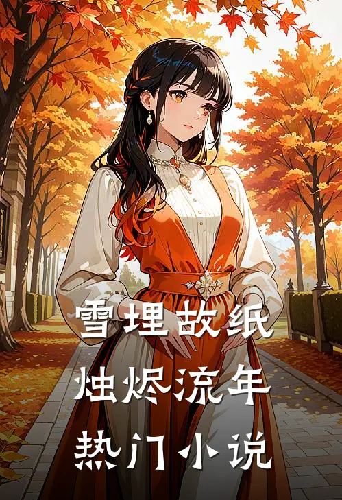 雪埋故纸，烛烬流年热门小说