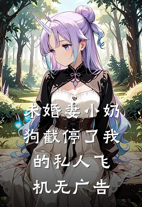未婚妻小奶狗截停了我的私人飞机无广告
