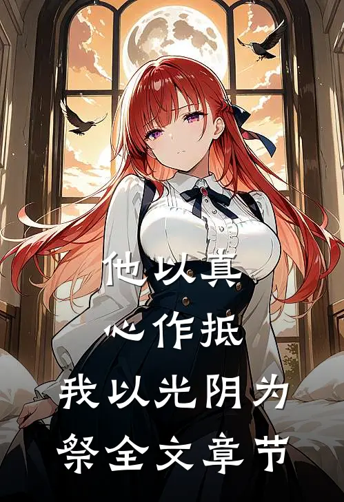 他以真心作抵，我以光阴为祭全文章节