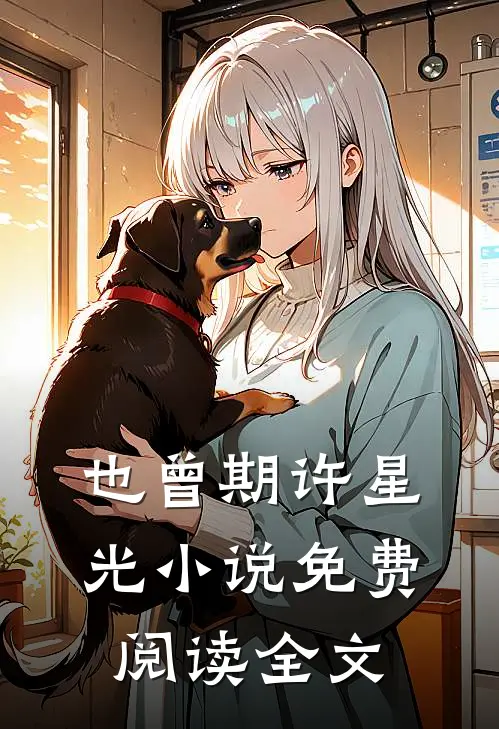 也曾期许星光小说免费阅读全文