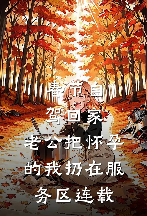 春节自驾回家，老公把怀孕的我扔在服务区连载