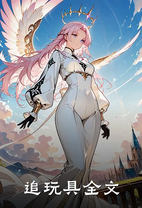 追玩具全文