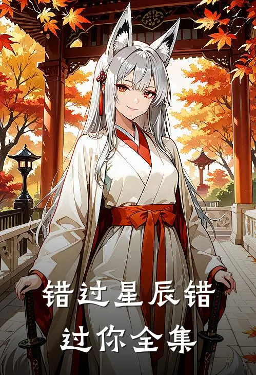 错过星辰错过你全集