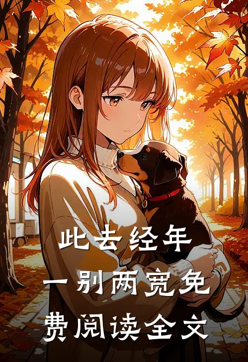 此去经年，一别两宽免费阅读全文