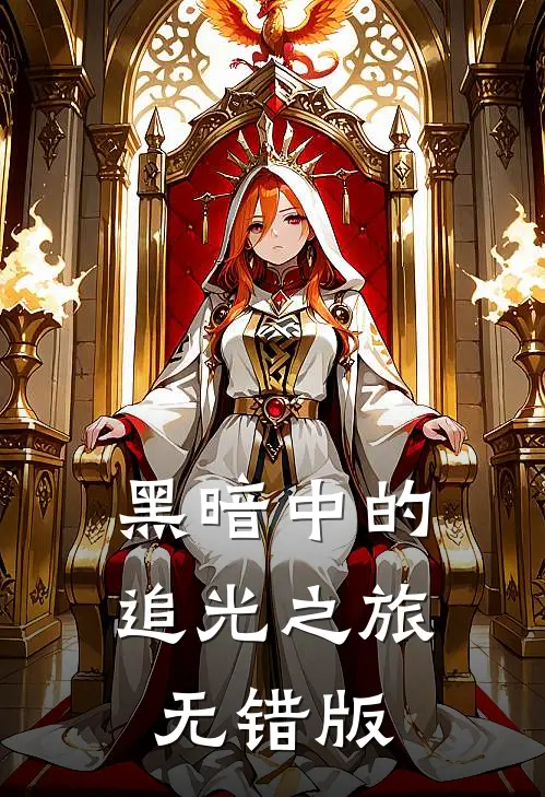 黑暗中的追光之旅无错版