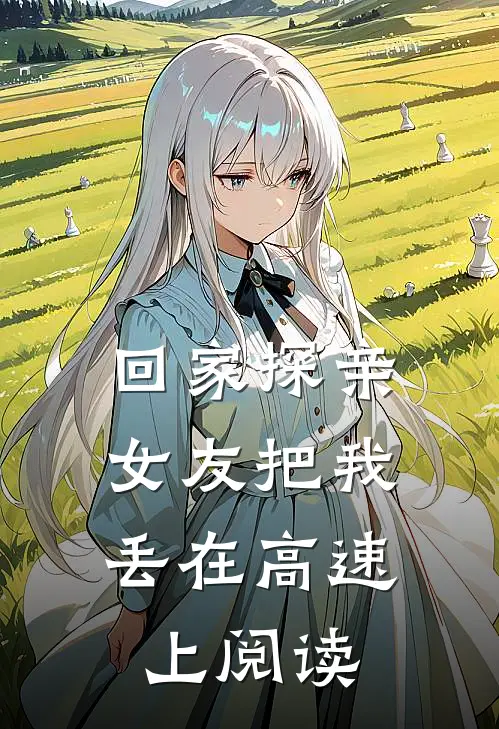 回家探亲，女友把我丢在高速上阅读