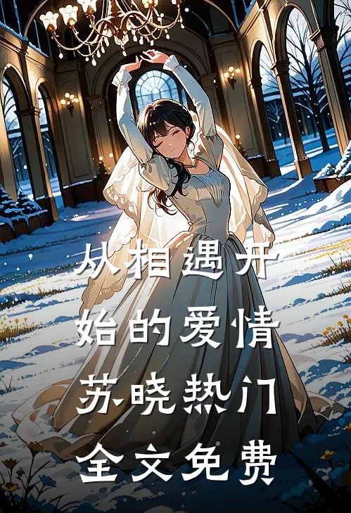 《从相遇开始的爱情》苏晓热门全文免费