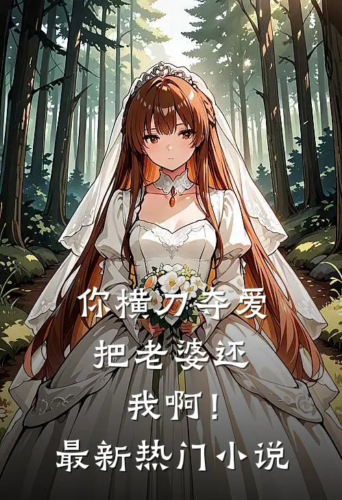 你横刀夺爱，把老婆还我啊！最新热门小说