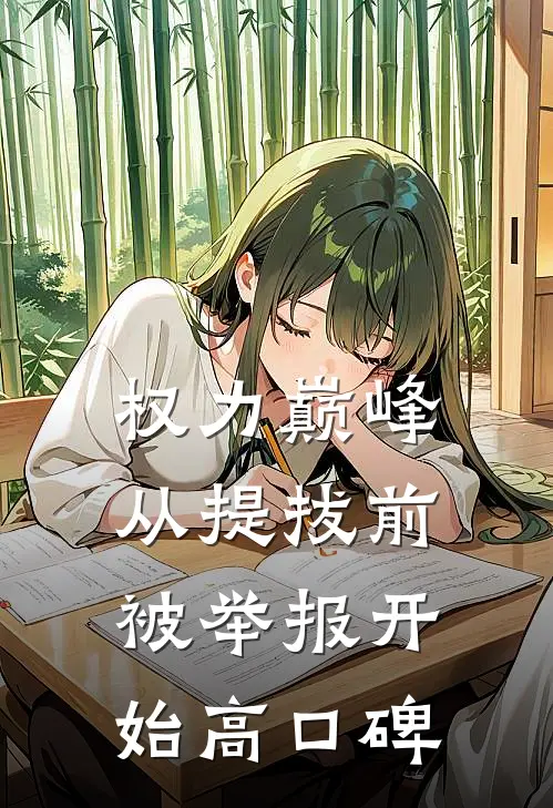 权力巅峰：从提拔前被举报开始高口碑