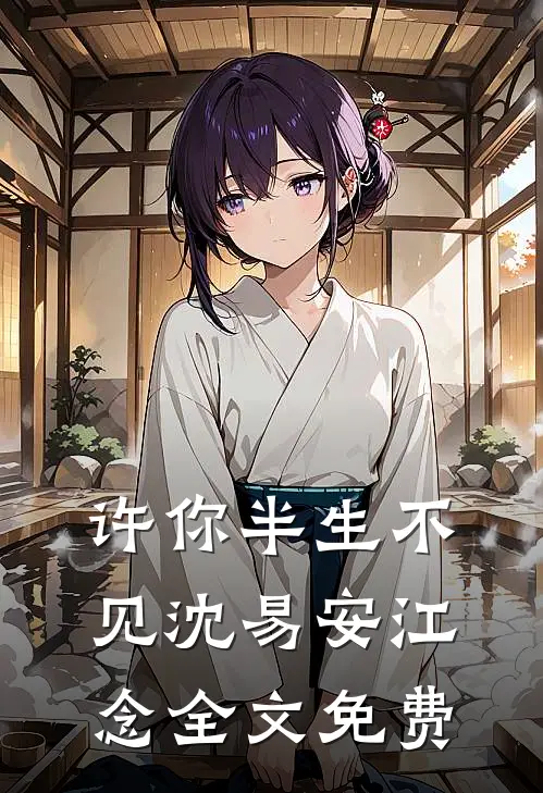 许你半生不见沈易安江念全文免费