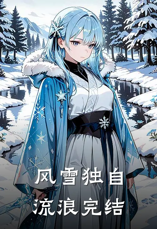 风雪独自流浪完结