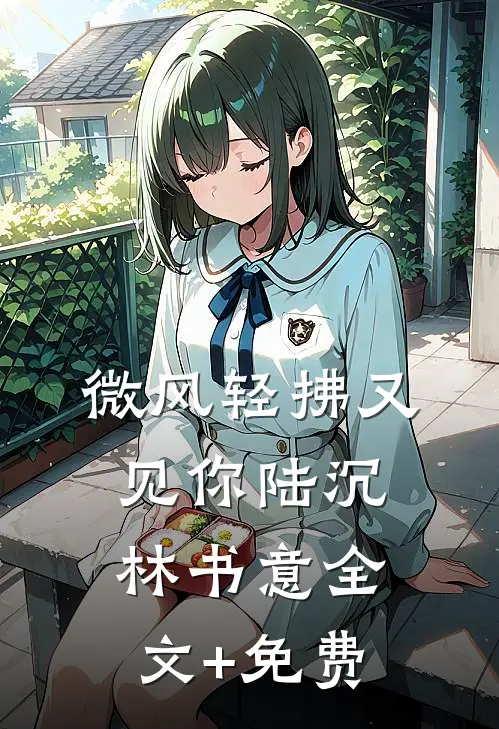 微风轻拂又见你陆沉林书意全文+免费