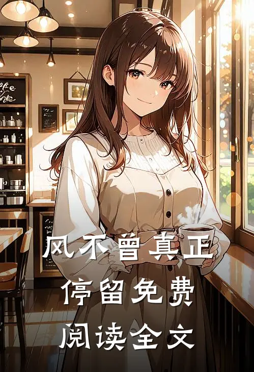 风不曾真正停留免费阅读全文