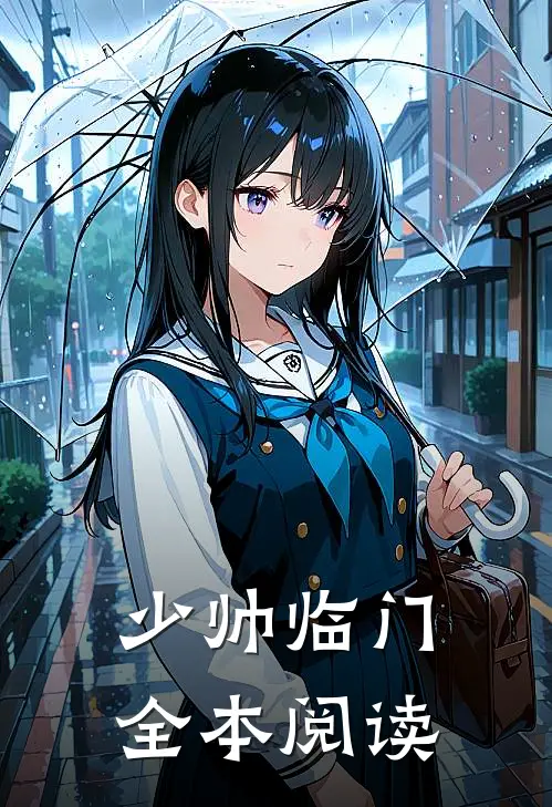少帅临门全本阅读