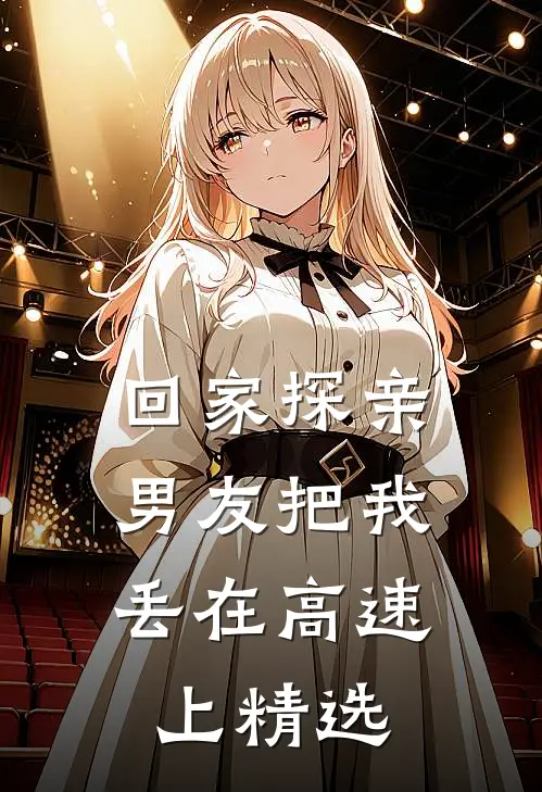 回家探亲，男友把我丢在高速上精选